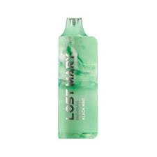 Black Mint Lost Mary MO5000 Disposable Vape
